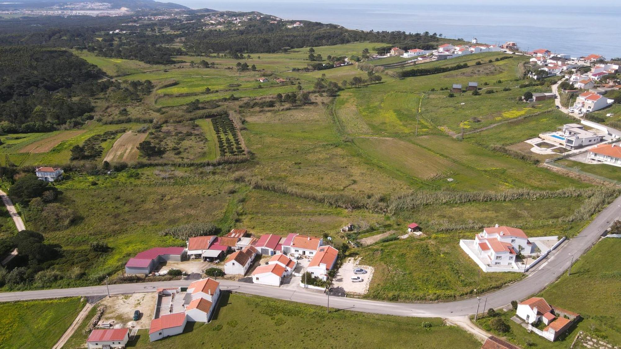 Casas Com Amoras In Serra Da Pescaria Famalicão Kültér fotó